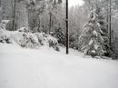 Tiedostonimi=1502_IMG_7715.jpg
Tiedostokoko=128kt
Koko=800x600
Lisätty=03.12.2016 1502_IMG_7715.jpg