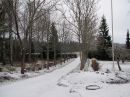 Filename=1503_IMG_8173.jpg
Filesize=152KiB
Dimensions=800x600
Date added=Dec 05, 2016 1503_IMG_8173.jpg