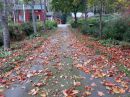 Tiedostonimi=1509_IMG_8599.jpg
Tiedostokoko=220kt
Koko=800x600
Lisätty=23.01.2017 1509_IMG_8599.jpg