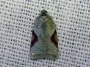 Acleris_notana_metsatalvikaariainen_IMG_2218.jpg