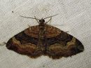 Tiedostonimi=Xanthorhoe_biriviata_palsamikenttamittari_IMG_1452.jpg
Tiedostokoko=104kt
Koko=600x450
Lisätty=14.03.2019 Xanthorhoe_biriviata_palsamikenttamittari_IMG_1452.jpg
